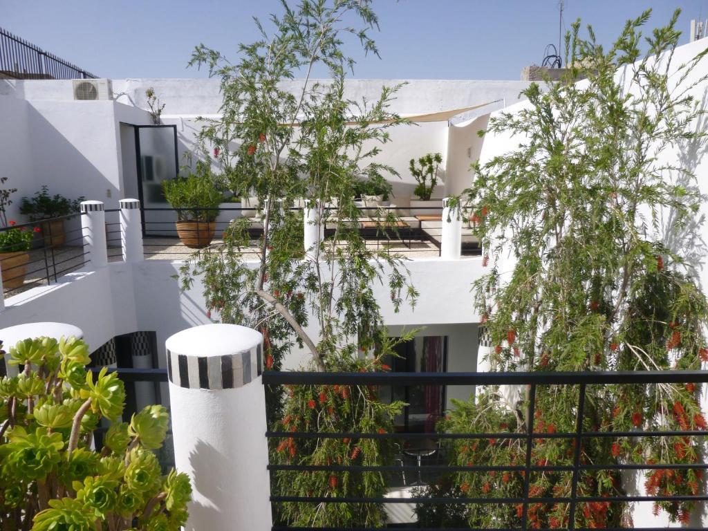 Riad Tchina マラケシュ エクステリア 写真